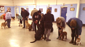 Normandale training class